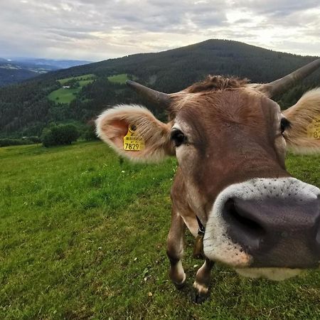 Alpengasthof Fernblick Mönichkirchen 외부 사진