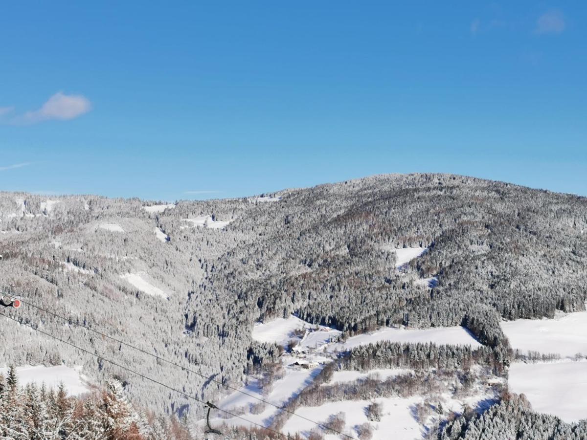 Alpengasthof Fernblick Mönichkirchen 외부 사진