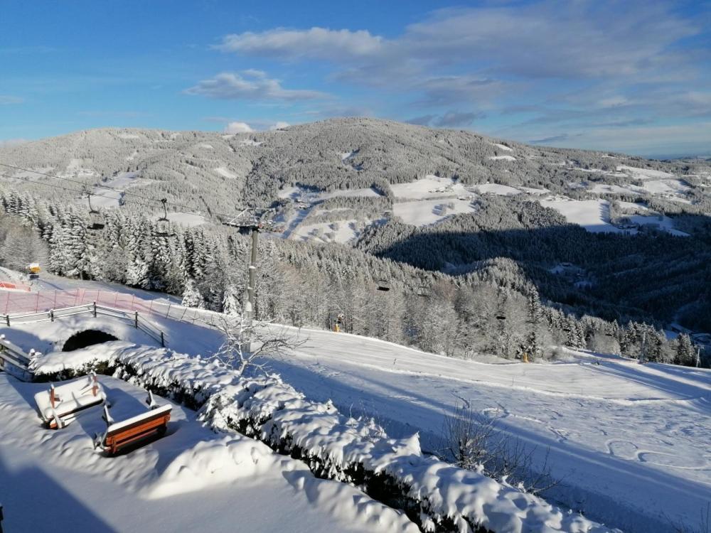 Alpengasthof Fernblick Mönichkirchen 외부 사진
