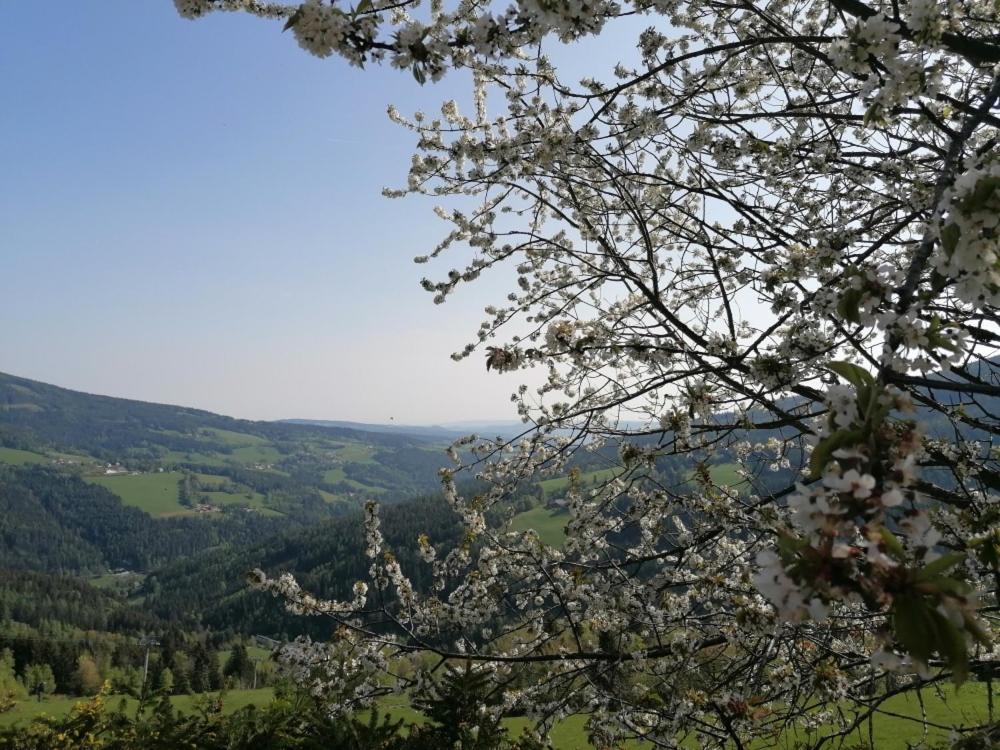 Alpengasthof Fernblick Mönichkirchen 외부 사진